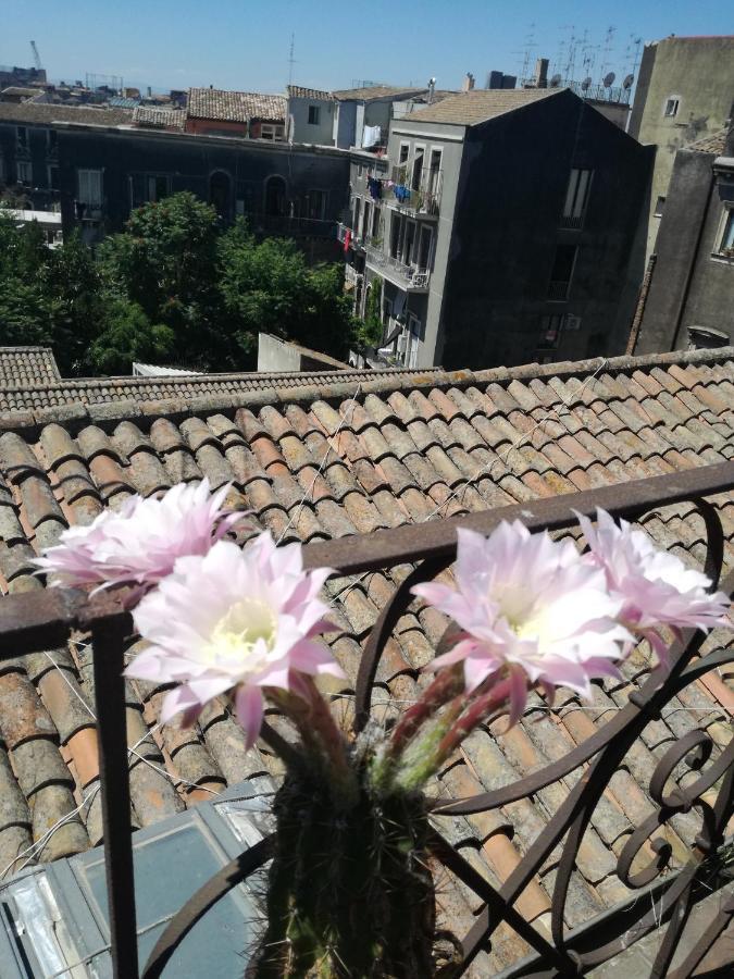 Biscari Hotel Catane